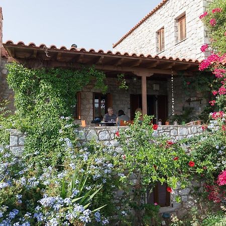 ואתי Elise Cottage מראה חיצוני תמונה
