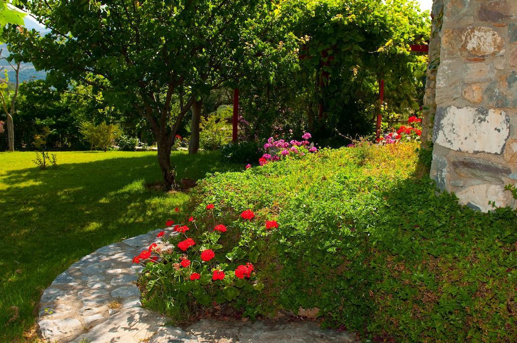 ואתי Elise Cottage חדר תמונה