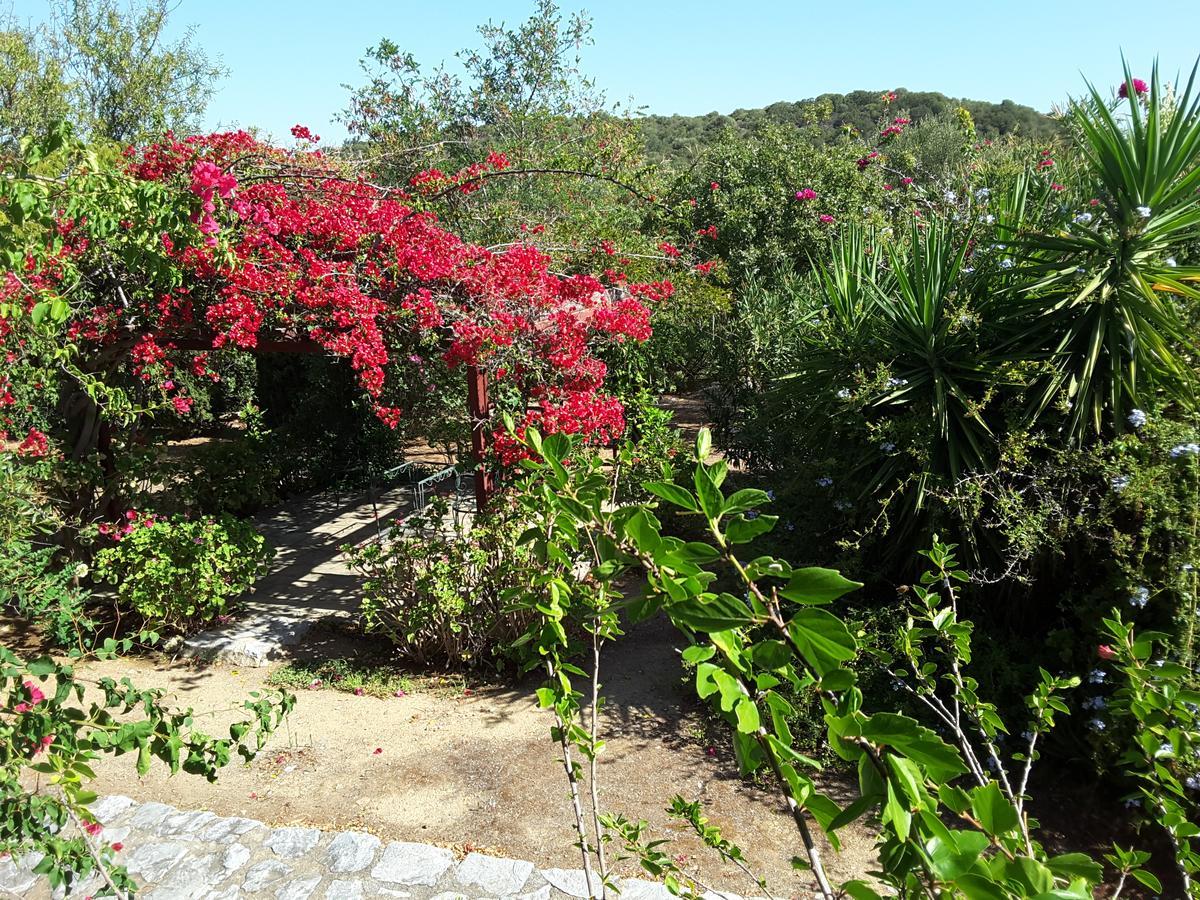 ואתי Elise Cottage מראה חיצוני תמונה